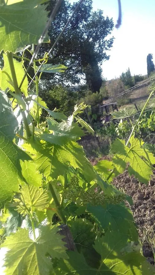 Cordella In Montalcino Wine Resort